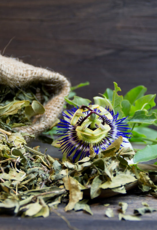 Dried Passiflora leaves, flowers and stems with a fresh passion fruit flower